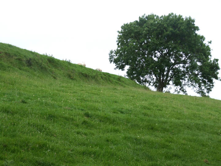 Giant's Hedge (Dyke) by Mr Hamhead
