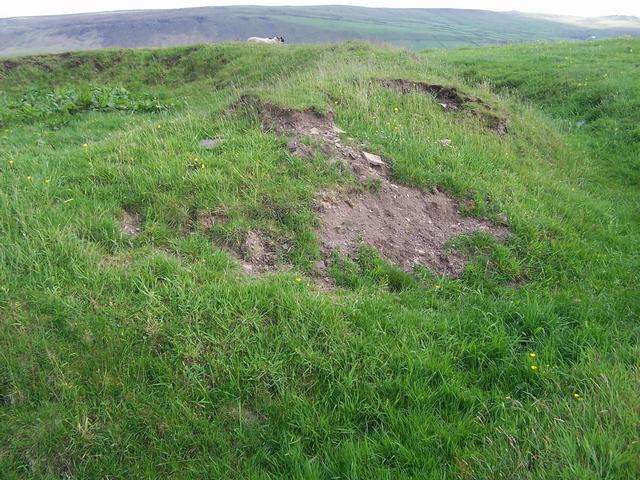 Jacksons Barrow (Artificial Mound) by treehugger-uk