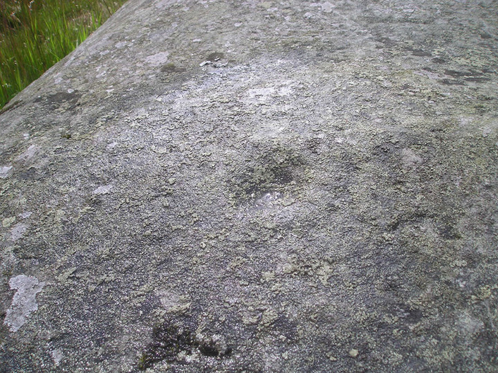 Pitmudie Stone Row (Stone Row / Alignment) by tiompan