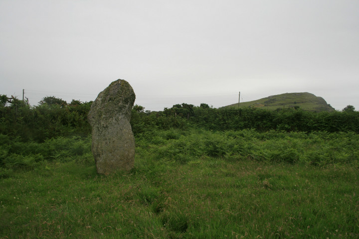 Tir Gwyn 2 (south) (Standing Stone / Menhir) by postman