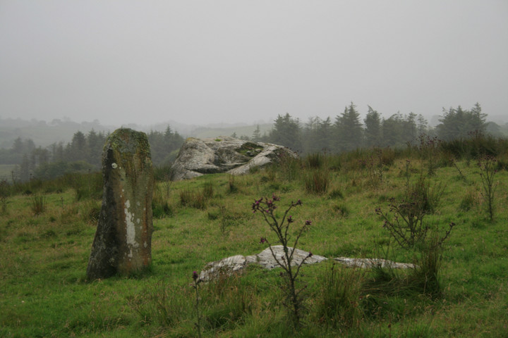 Tyddyn Mawr (Standing Stone / Menhir) by postman