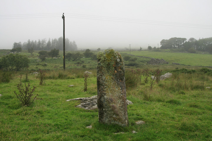 Tyddyn Mawr (Standing Stone / Menhir) by postman