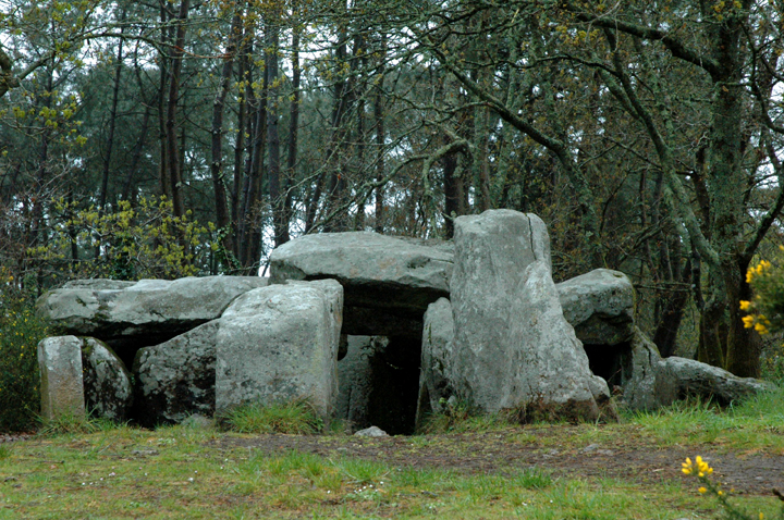 Dolmen de Mané Croc'h (Chambered Tomb) by Jane