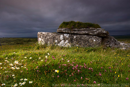 Parknabinnia (Cl. 67) (Wedge Tomb) by CianMcLiam