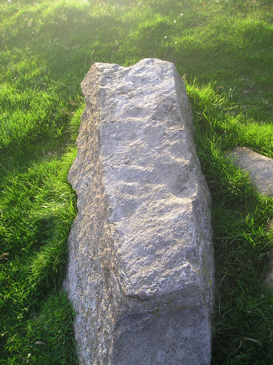 Tom Nan Carragh (Stone Row / Alignment) by tiompan
