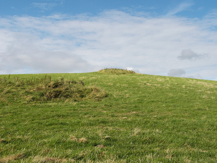 Chilcombe Hill (Hillfort) by formicaant