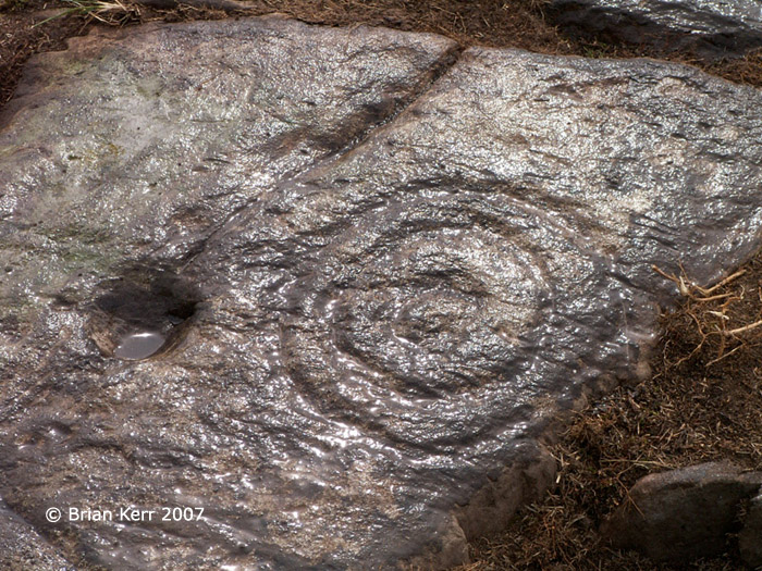 Boyach (Cup and Ring Marks / Rock Art) by rockartwolf