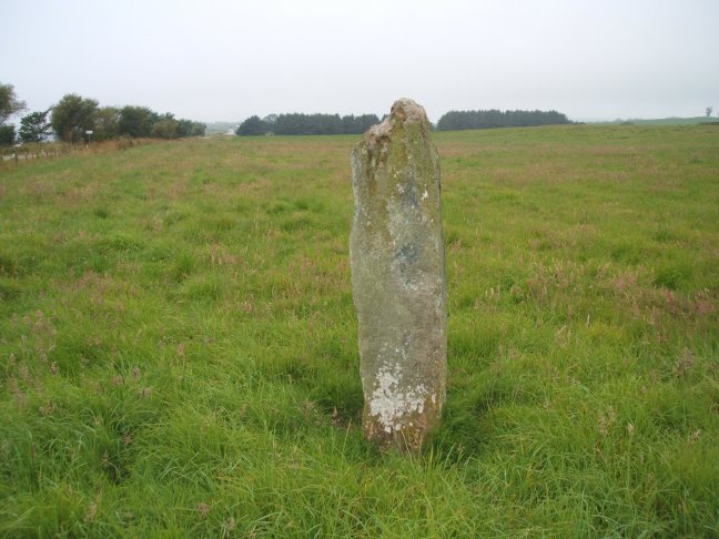 The Thief's Stone (Standing Stone / Menhir) by nickbrand