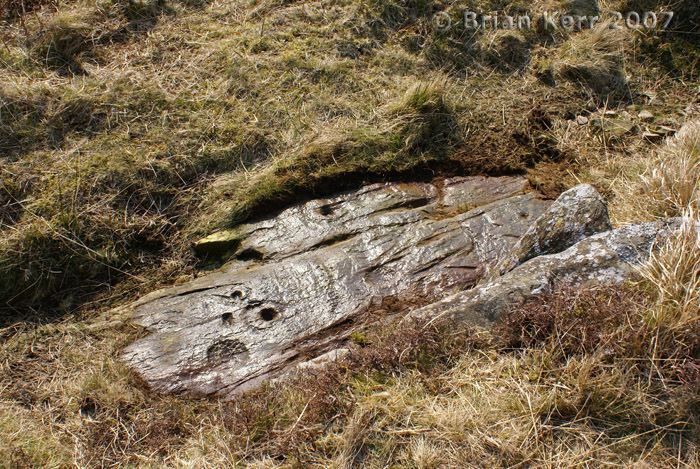 Cairnholy 06 (Cup and Ring Marks / Rock Art) by rockartwolf