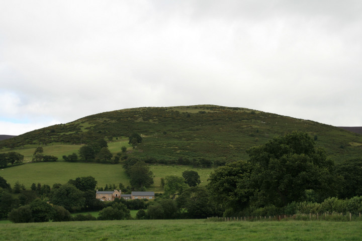 Moel y Gaer (Llanbedr Dyffryn-Clwyd) (Hillfort) by postman