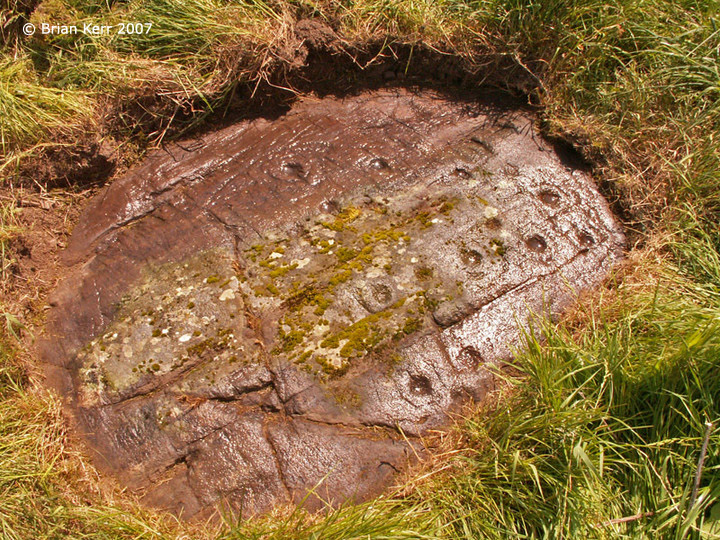 Kirkmuir 2 (Cup and Ring Marks / Rock Art) by rockartwolf