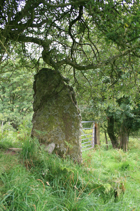 Nant Bwch (Standing Stone / Menhir) by postman