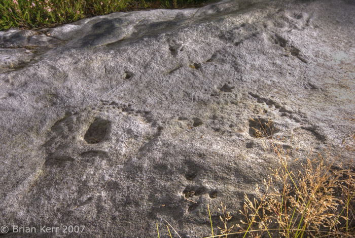 Fylingdales Moor (Cup and Ring Marks / Rock Art) by rockartwolf