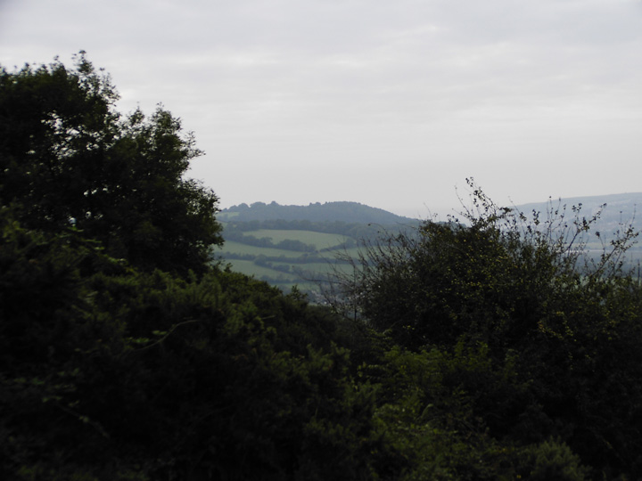 Hawkesdown Hill (Hillfort) by formicaant