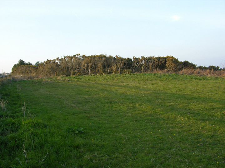 Broad Down (Barrow / Cairn Cemetery) by Moz