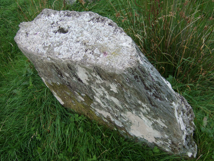 Carrigagrenane NE (Stone Circle) by gjrk