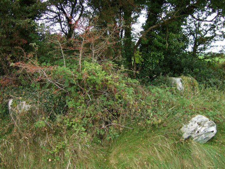 Bellmount Upper SW (Stone Circle) by gjrk