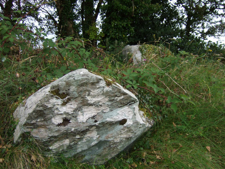 Bellmount Upper SW (Stone Circle) by gjrk