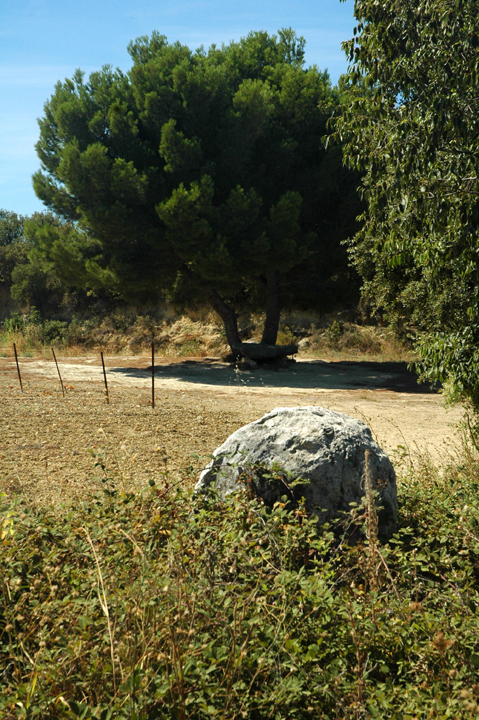 Dolmen de Gallardet (Passage Grave) by Moth