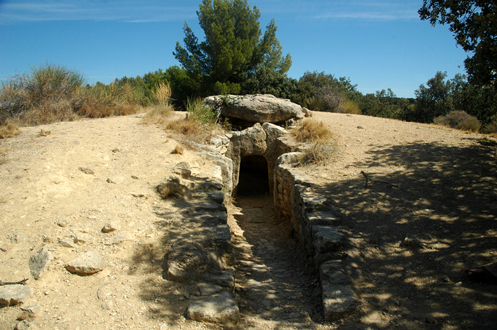 Dolmen de Gallardet (Passage Grave) by Moth
