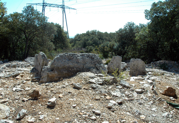 Bois des Geants - dolmen 1 (Passage Grave) by Jane