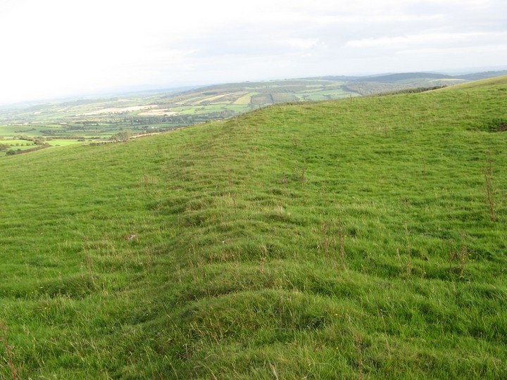 Clomantagh (Mountgarret) (Hillfort) by bawn79