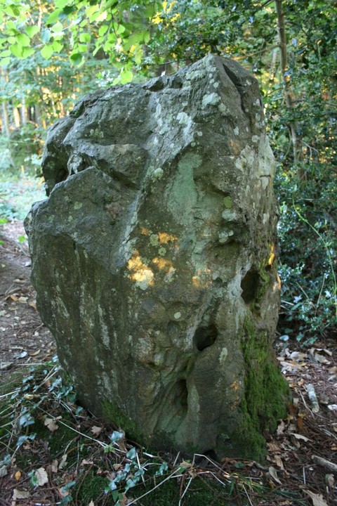 Rempstone Stone Circle (Stone Circle) by UncleRob