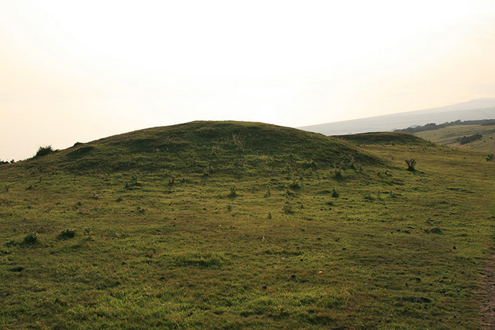 Tulk's Hill (Round Barrow(s)) by Lubin