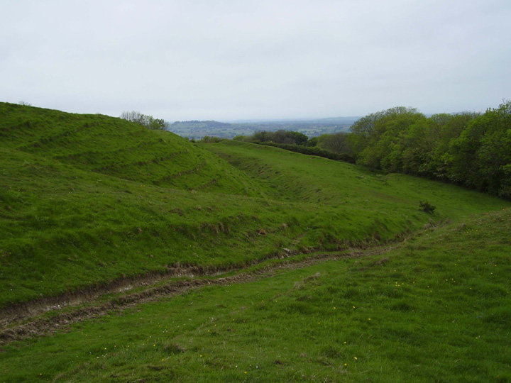 Rawlsbury (Hillfort) by formicaant