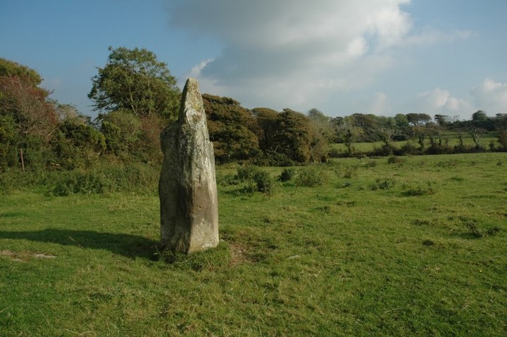 Ballynaclogh South (Standing Stone / Menhir) by ryaner