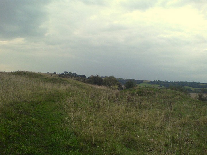 Magdalen Hill Down Barrows (Barrow / Cairn Cemetery) by UncleRob