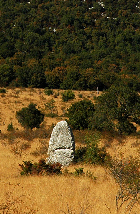 Menhir 2 (?) du Coulet (Standing Stone / Menhir) by Moth