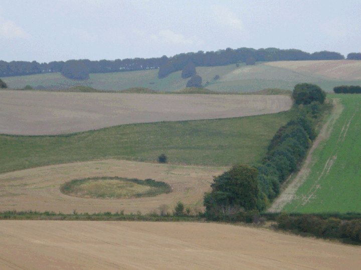 Aldbourne Four Barrows (Barrow / Cairn Cemetery) by Chance