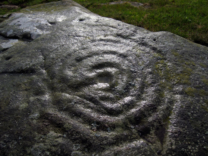 Carr Hill (Cup and Ring Marks / Rock Art) by rockandy
