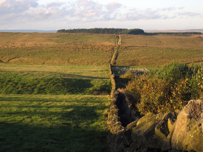 Fenwick Fell Field (Cup Marked Stone) by rockandy