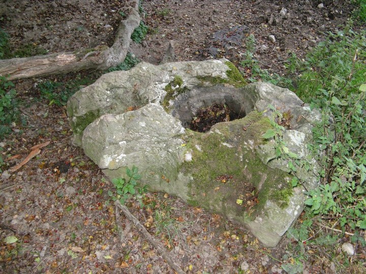 Jamestown (Bullaun Stone) by bawn79