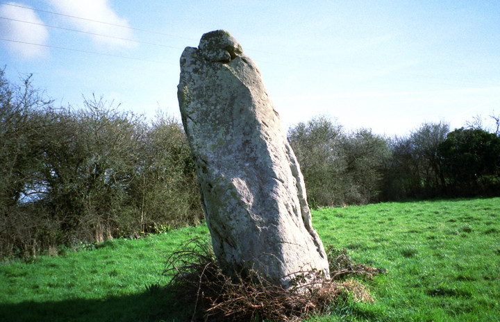 Menhir du Boivre (Standing Stone / Menhir) by Spaceship mark