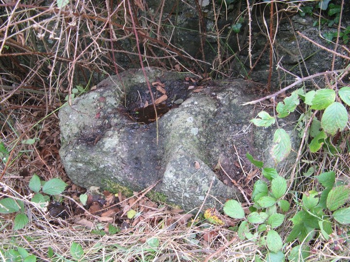 Caherabbey Lower (Bullaun Stone) by bawn79