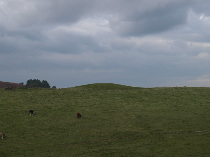 Stone Hill Down (Long Barrow) by formicaant