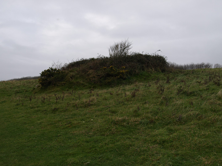 Knowle Hill (Round Barrow(s)) by formicaant