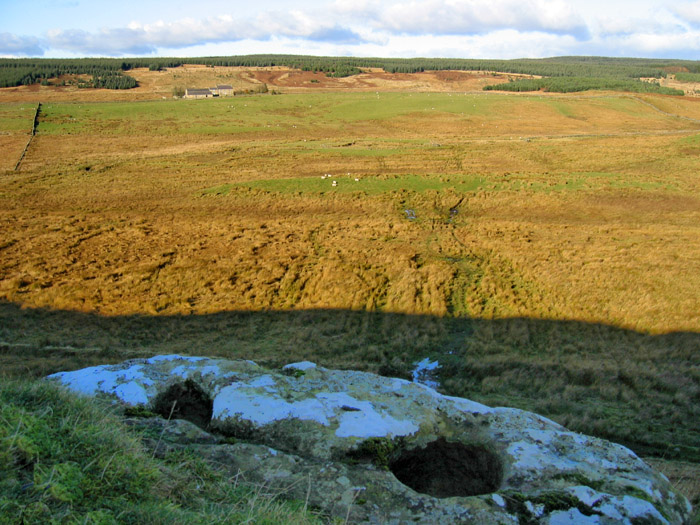 Greenlee Lough (Cup Marked Stone) by rockandy