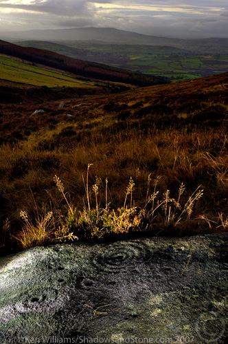 Crannagh (Cup and Ring Marks / Rock Art) by CianMcLiam