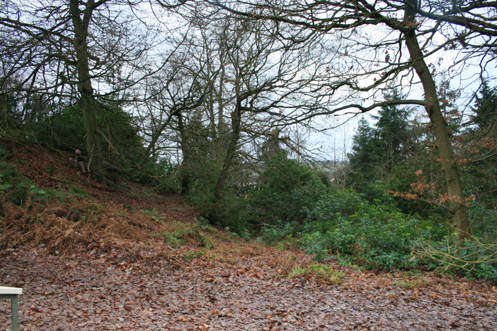 Nesscliffe Hill Camp (Hillfort) by postman