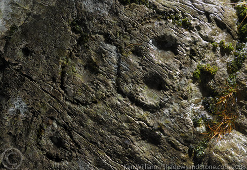 Derreeny 1 (Cup and Ring Marks / Rock Art) by CianMcLiam