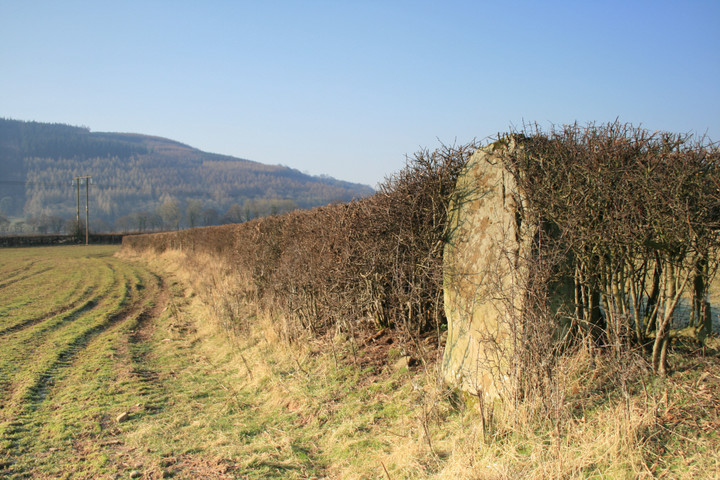 The Tretower Stone (Standing Stone / Menhir) by postman