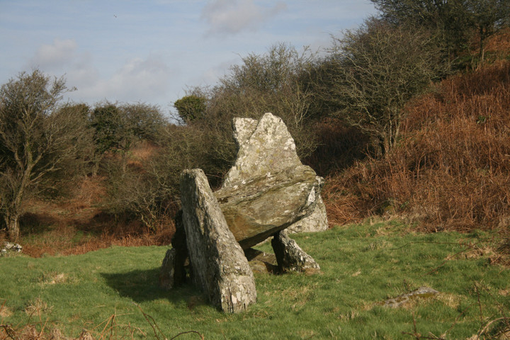 Din Dryfol (Chambered Tomb) by postman