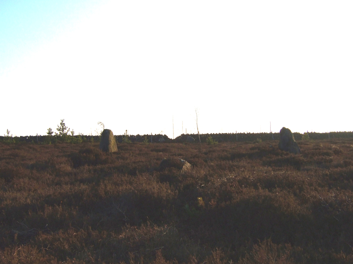 Thimbleby Moor Nine Stones (Stone Circle) by robokid