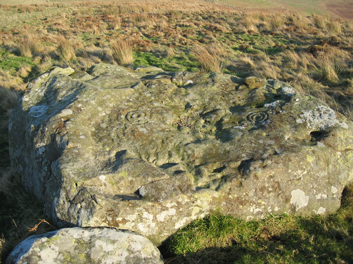 Old Bewick (Cup and Ring Marks / Rock Art) by rockandy