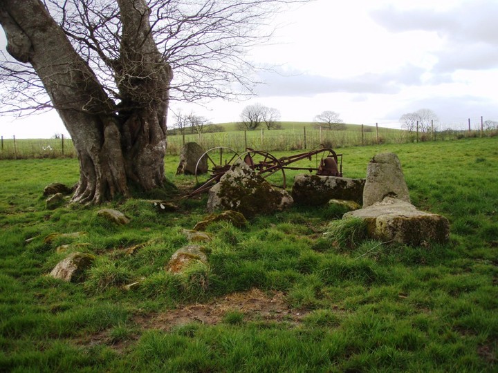 Castlemervin (Stone Circle) by 12pointer