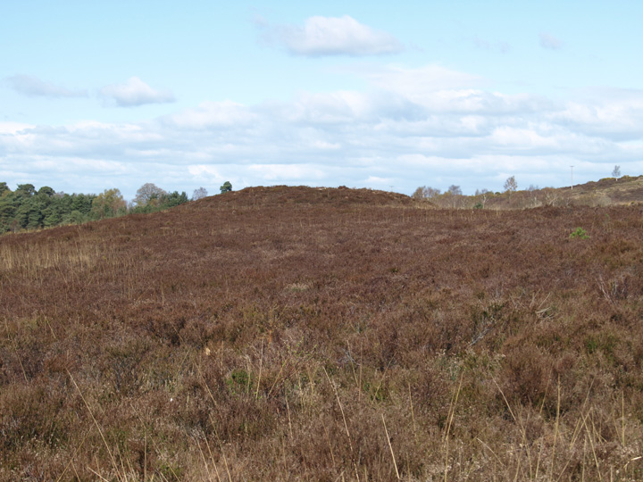 Vales Moor (Round Barrow(s)) by formicaant
